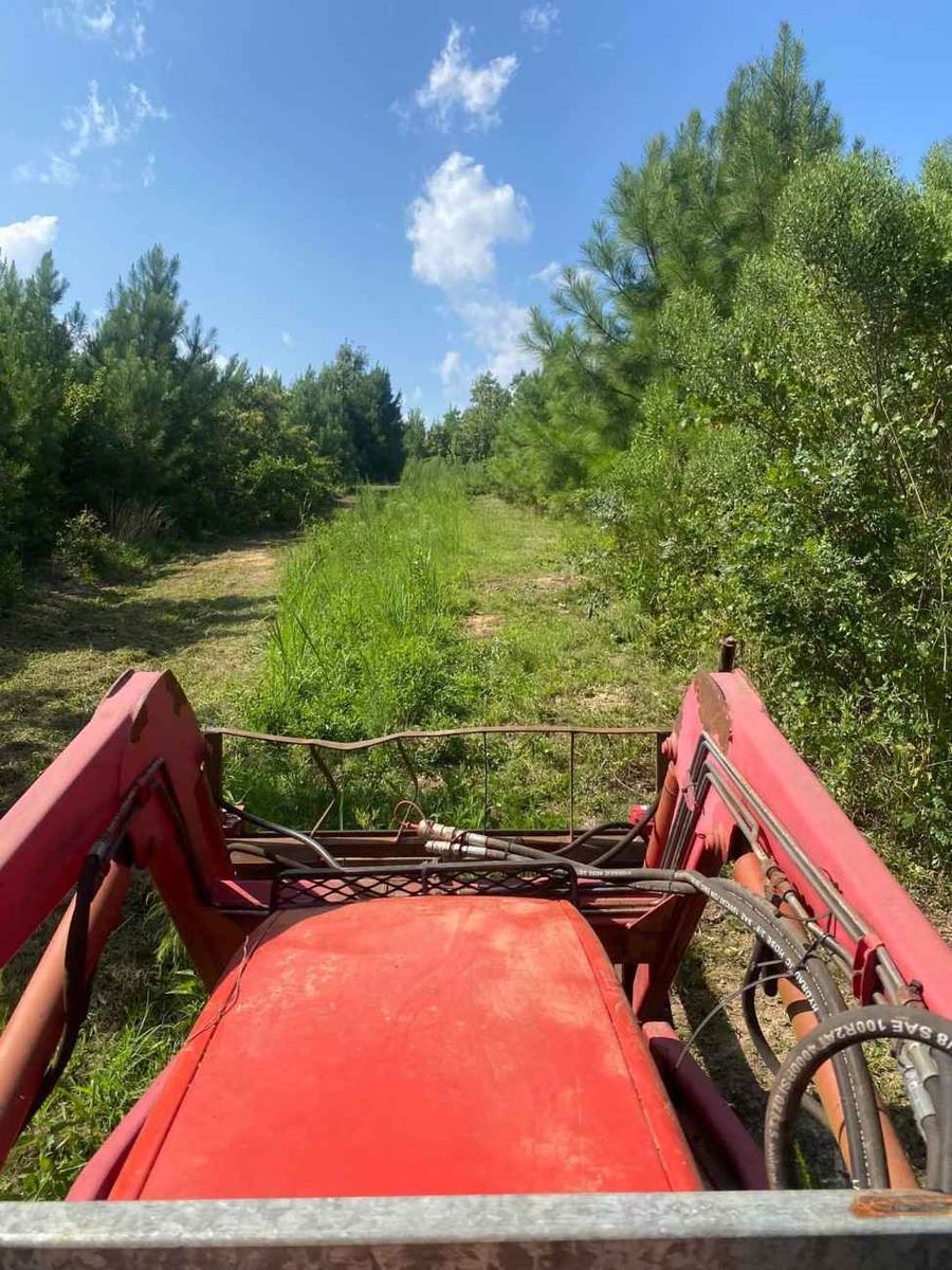 Bush Hogging