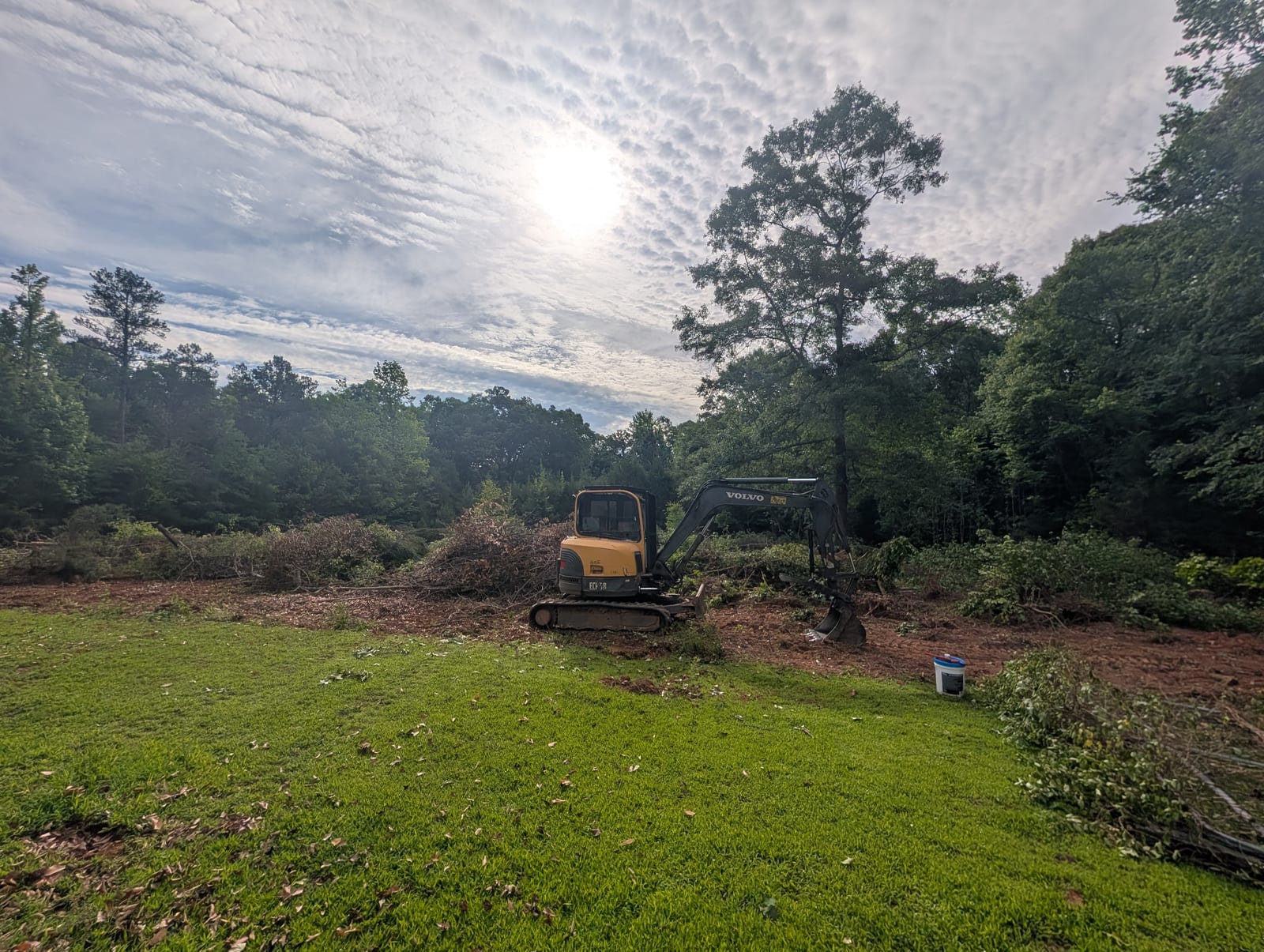 Excavator clearing about an acre of wooded yard in Fountain Inn, SC